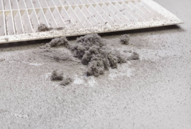 Best Affordable Air Duct Cleaning  in Edwardsburg, MI